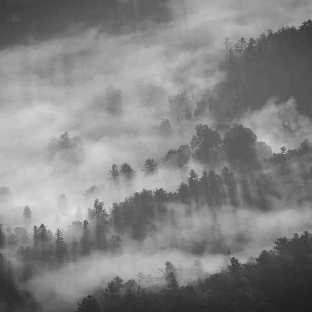 무제 #7